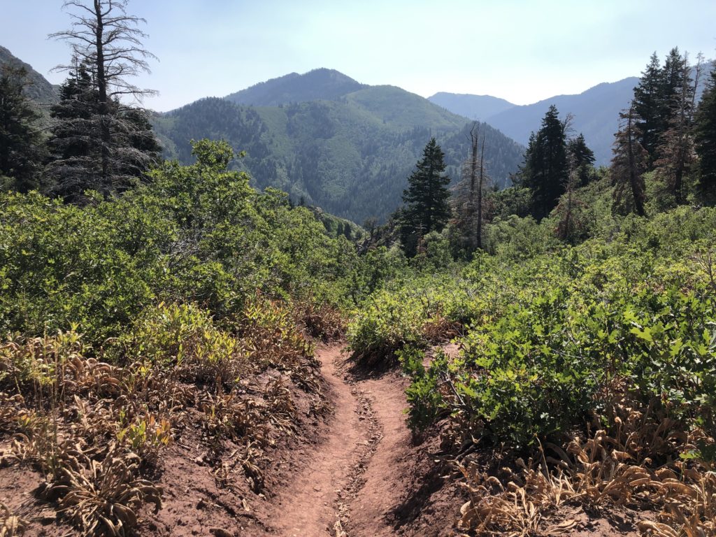 MillCreek Canyon – Mt Aire Trailhead