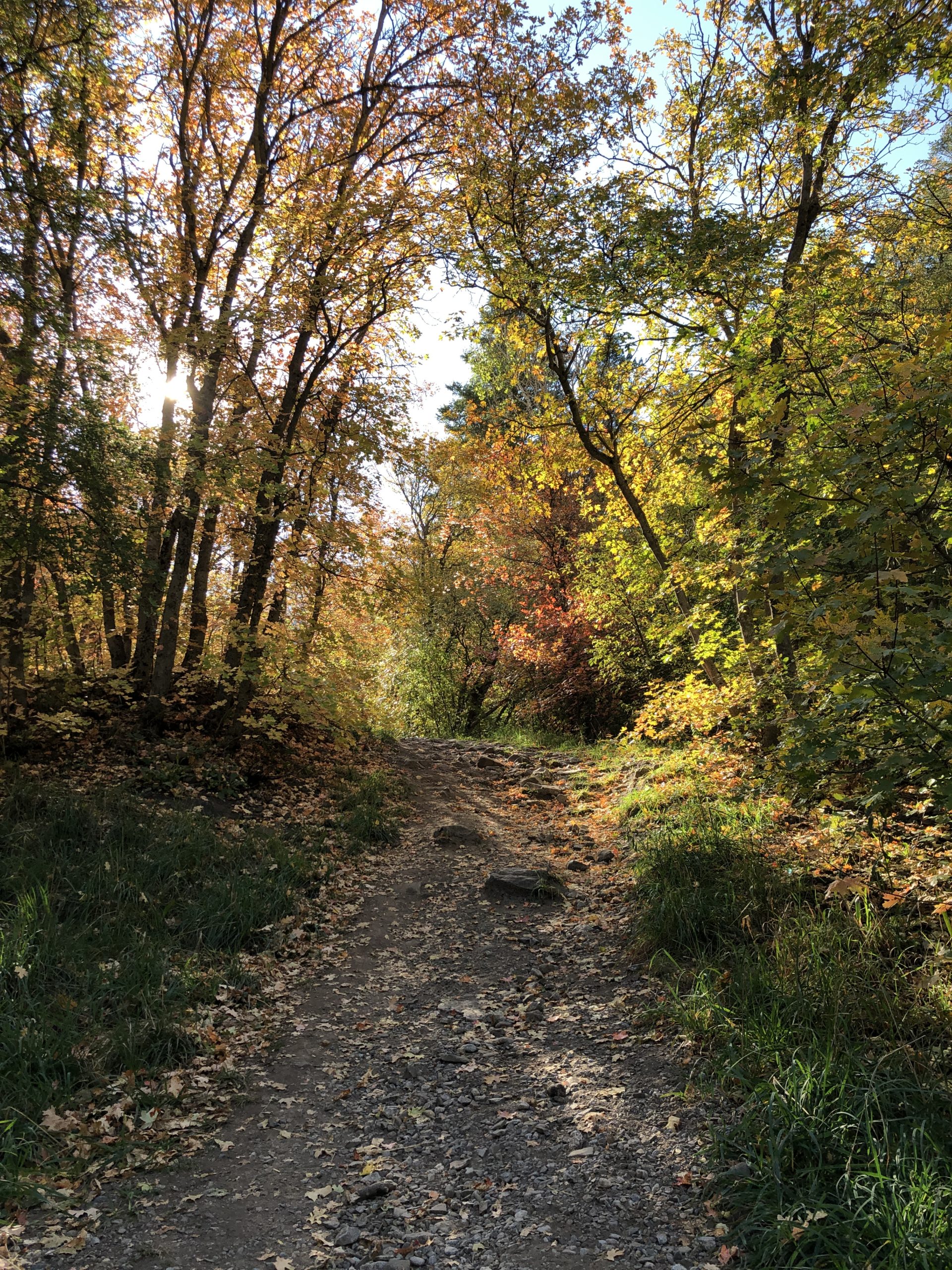 Autumn landscape with yellow trees at the riverside Weekender Tote