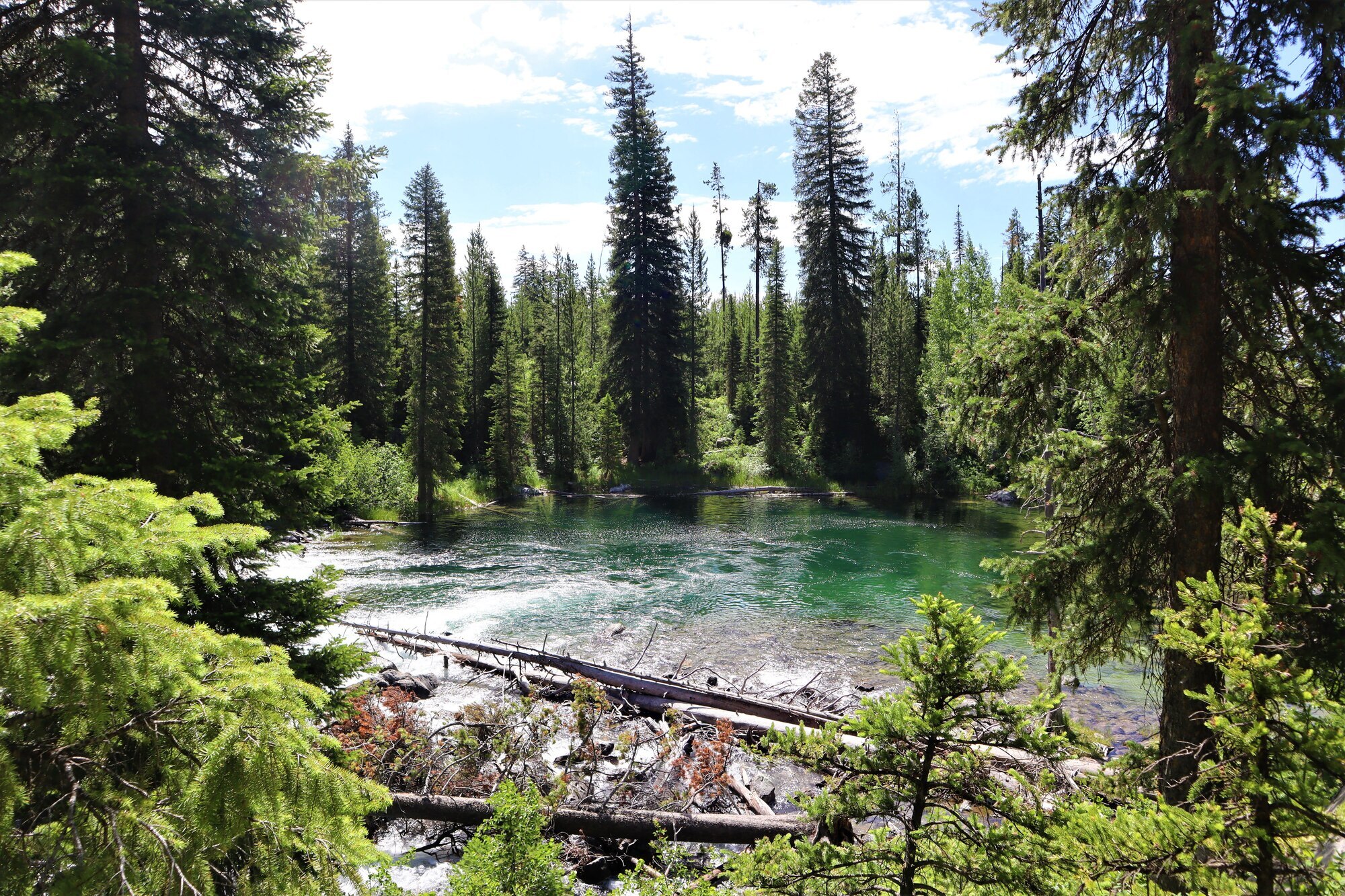 lake view at hidden falls trail