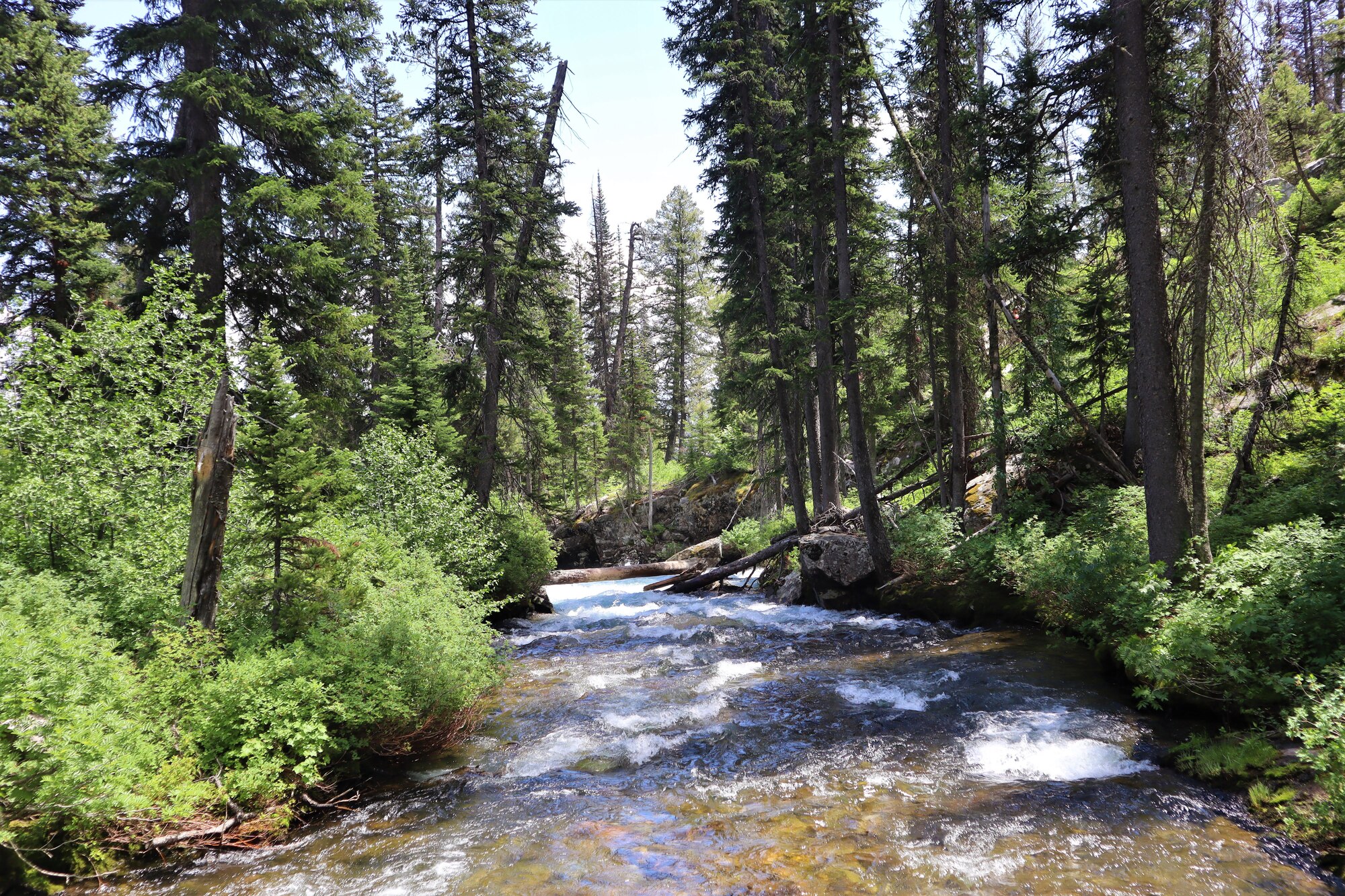 stream at hidden falls